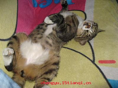 大旱望云霓的故事_大旱望云霓典故