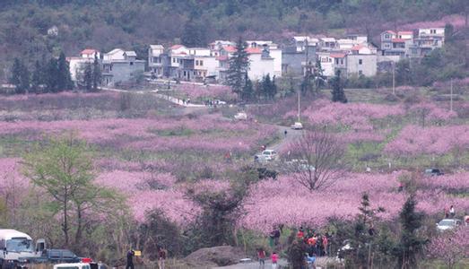 金城江天气预报10天查询