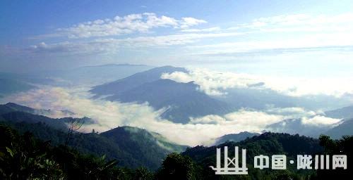 陇川天气预报10天查询