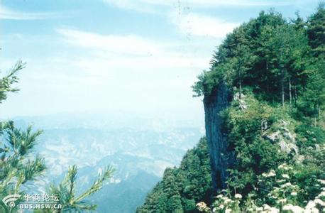 山阳天气预报10天查询