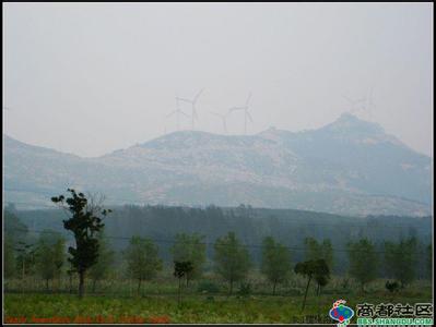 望花天气预报30天查询,望花区一个月天气