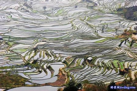 红河红河县天气预报_红河县天气预报一周7天10天15天红河红河县天气预报,红河县天气预报一周7天10天15天