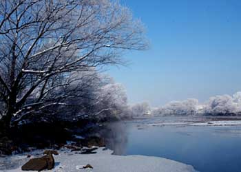 林口天气预报15天查询