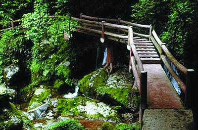 宾县花乐山景区天气