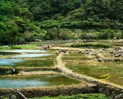 台北草领古道