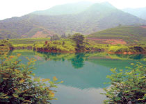 富阳龙坞茶休闲村天气