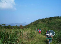 舟山悬山岛天气