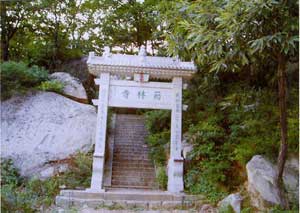 阳泉药林寺