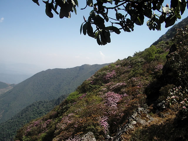 凉山龙肘山