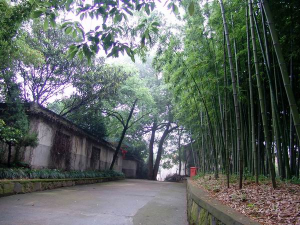 海东互助县古城村天气